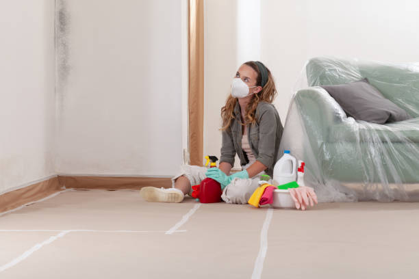 Reliable Mold Inspection contractor in Sidman, PA by WQB Mold Removal
